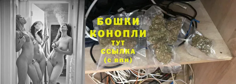 OMG ссылки  продажа наркотиков  Куса  Бошки Шишки гибрид 